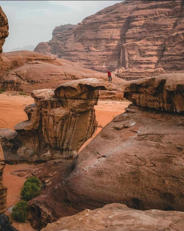 Hala tours&camping Wadi Rum Extérieur photo